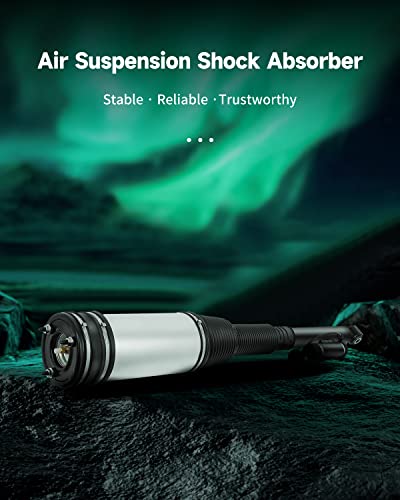 Scitoo Air Struts Suspension Kits 2Pcs Rear Shocks Struts Suspensions Replacement Struts Kits Fit For 2006 For Mercedes-Benz S350, 2000-2006 For Mercedes-Benz S430, 2000-2006 For Mercedes-Benz S500 #TOP1