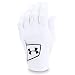 Under Armour Men's Spieth Tour Glove,White (100)/Black, Left Hand Large