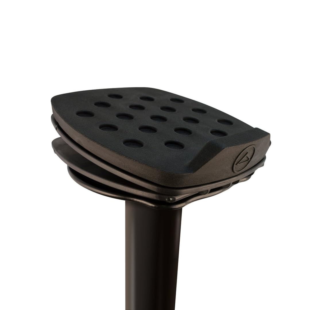 Amazon.com: Ultimate Support MS-100 MS Series Professional Column