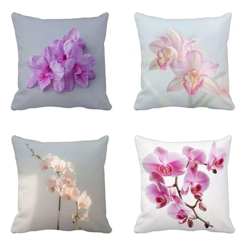 NbVJo[ sN NbVJo[ 45X45cm 4g, _ Cushion Cover  Cushion Cover  @ې Bt@Xi[ \t@p ƒ둕 m ԗp  ͋C Mtg -yxy2504