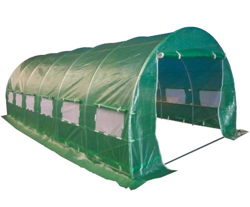 BIRCHTREE 6M(L) x 3M(W) x 2M(H) Polytunnel Greenhouse Pollytunnel Poly Polly Tunnel Fully Galvanised Anti Rust Steel Frame 6 Section