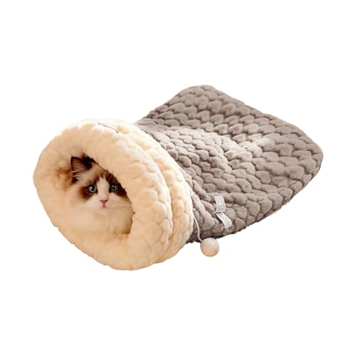 Oh Lagomorph єL̃xbh~gAnEXVF^[ƔLp 2 FsbNivvȒPL̓A[^[TCY