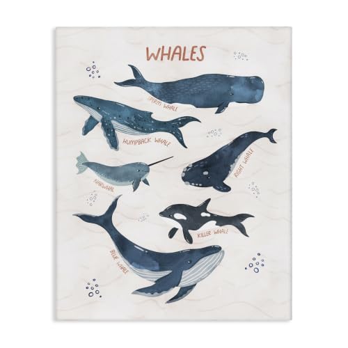 Nautical Whale Narwhal Diagram, 24 x 30 Inch Canvas Wall Art