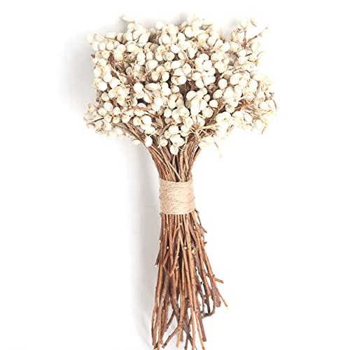Lipfer 20 Pcs/set Natural Cotton Balls Dried Flower Plants Dry Real White Fruit Bunch Party Decorative Flowers Diy Wedding Decoration
