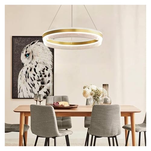 Lumière suspendue à hauteur réglable LED avec diffuseur acrylique bague dorée