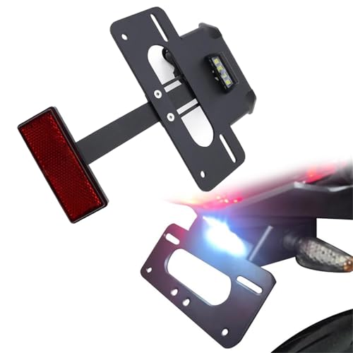 Support de plaque pour Kawasaki Ninja 300 EX300 et Z300 2013-2020