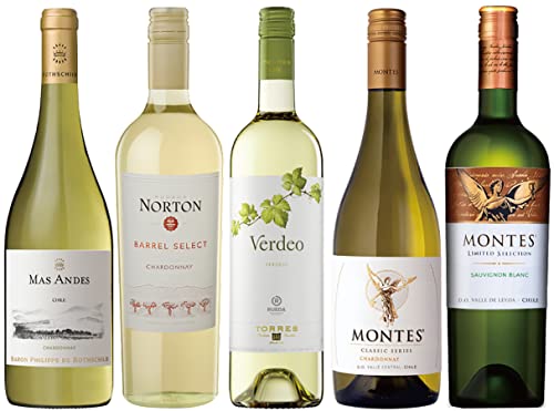 エノテカ直輸入 バイヤー厳選白ワイン好きのための辛口白ワインセット [ 750ml×5本 ]