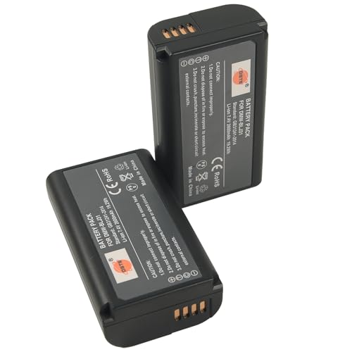 Batterie Lumix S1 Panasonic lot DSTE pour vos reportages et voyages