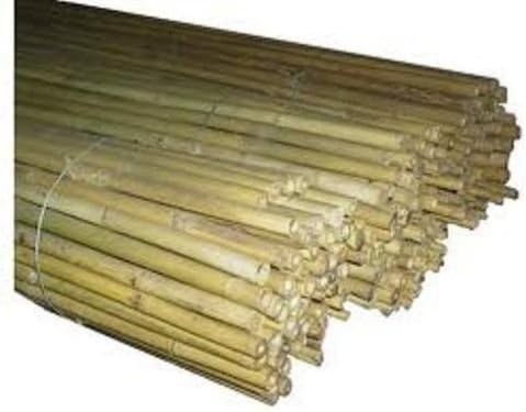 Pag Canne di bamboo ⌀ 24/26 mm Altezza 3000 mm | Tutori per Orto, Giardino e Arredo | Sostegno