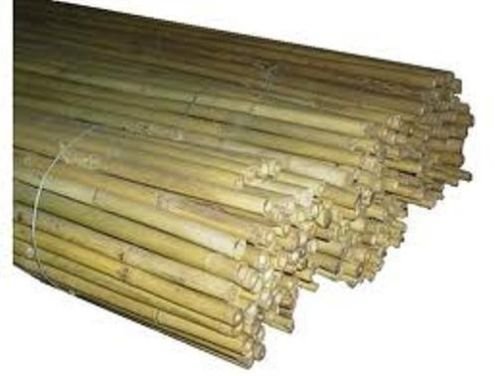 10 Canne Bamboo Bambù Pareti Divisorie Pali Pomodori Piante Rampicanti H. 210 Cm Diametro 26-28