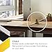 OBEX Acrylic Free Standing Screen, Divider for Desk Privacy Home & Office Partitions for Table Top Workstation, Portable Cubicle Panel for Work, 24