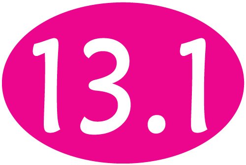 13.1 Oval Car Magnet - Hot Pink