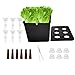 Generico Kit di Coltivazione - Attrezzatura per Coltivazione delle Piante, Kit di Semina a Interno Completo | Piante Scatola per Verdure di lattuga Frutta Fiori Balcone Parterre Hotel App immagine
