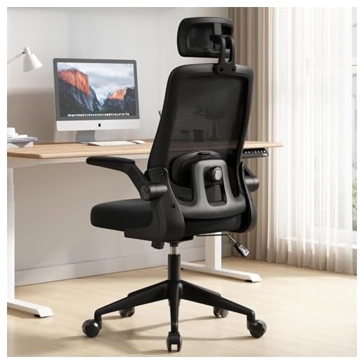 BlidShop Cadeira de Escritório Ergonômica, Suporte 120kg, Ajuste Lombar, Apoio de Cabeça, Tela Mesh Premium, Giratória, Home Office (Preta)