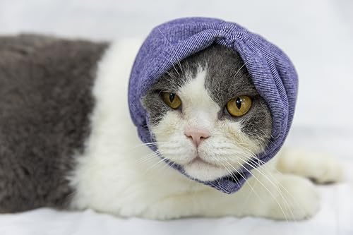 Image of Cat Hematoma Ear Wrap,Noise Cancelling Calming Anxiety & Stress Relief - Ear Cover for cat Purple S
