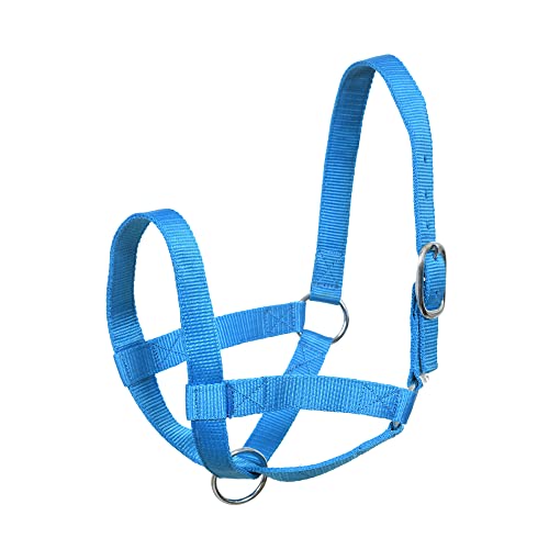 SIE Cattle livestock Cow Halters (Full, Turquoise)