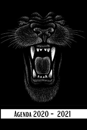 Télécharger Agenda 2020 - 2021: Un agenda scolaire 2020 2021 (Septembre 2020/Juin 2021) pour étudiants, entrepr Gratuit