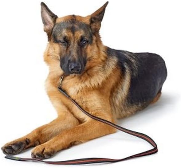 HUNTER Leash Visby Super Grip 20/120 Yellow, Reflective, Floatable