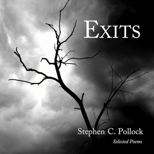 Exits by Stephen Pollock episode artwork