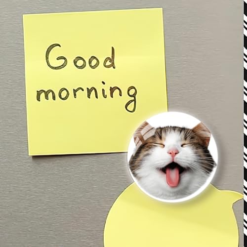 Imán de vidrio con diseño de gato para refrigerador miniatura 6