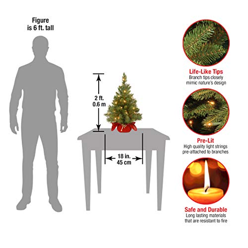 National Tree Company Pre-Lit Artificial Mini Christmas Tree | Includes Small Lights And Cloth Bag Base | Majestic Fir - 2 Ft #TOP2