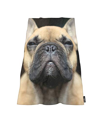 Moslion Comfy Bath Towels Funny French Bulldog Soft Bathing/Beach/Camping Towel for Women Men Girls Boys Large Size 64x32 Inches