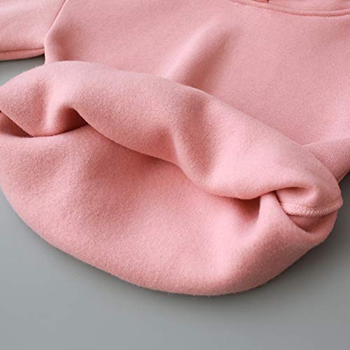 Infant Baby Toddler Girls Boys Hoodie Sweatshirt Tops Clothes 1-3 Years Old Kids Cartoon 3D Ear Shirts Coats (2-3 Years Old, Pink) #TOP6