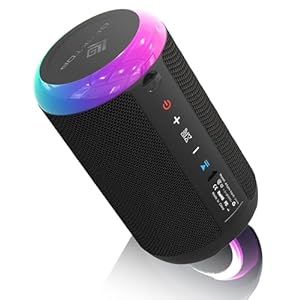 20W Portable Bluetooth Speaker Waterproof IPX7 Wireless Speakers with Deep Bass, LED Lights, TWS Pairing for Party/Home/Outdoor/Beach, Birthday Gift (Black)