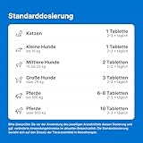 Traumeel LT ad us. vet. 250 Tabletten | Natürliches Tierarzneimittel für Hunde, Katzen, Pferde, Rinder, Schweine, Schafe und Ziegen | Made in Germany