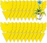 50Pcs plug-in piège à mouches plaques jaunes autocollant plante de protection contre Pieges a Insectes les pucerons, les mouches, Pour l'intérieur et l'extérieur les plantes - Non toxique et inodore