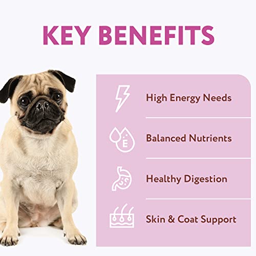 Optimeal Small Breed Dog Food - Proudly Ukrainian - Nutrient Balance Dry Small Dog Food High-Protein To Support Healthy Digestion And Joint Health (3.3Lbs, Lamb & Rice) #TOP1