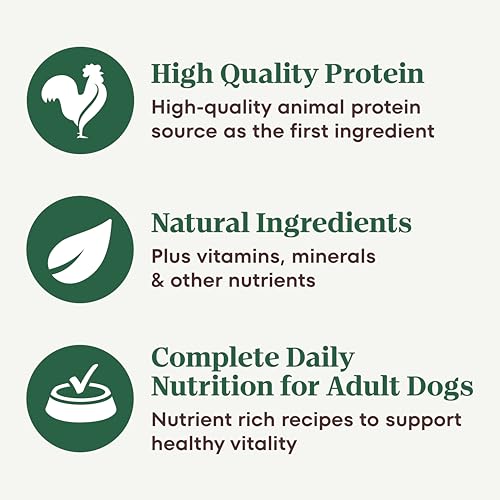 Nutro Hearty Stew Canned Wet Dog Food, Natural Grain Free Dog Food Wet Cuts in Gravy Chicken Beef Variety Pack, 12.5 oz Cans (12 Count, Pack of 1)