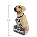FOCO Penn State Nittany Lions NCAA Yellow Labrador Statue