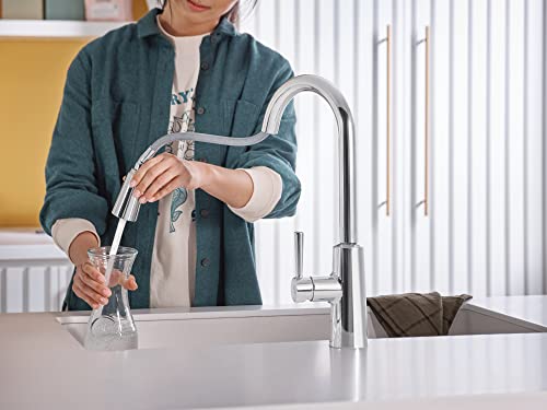 Moen 7402EW Riley Single Handle High Arc Pull Down Kitchen Faucet thumb #9