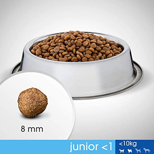 Perfect Fit Junior