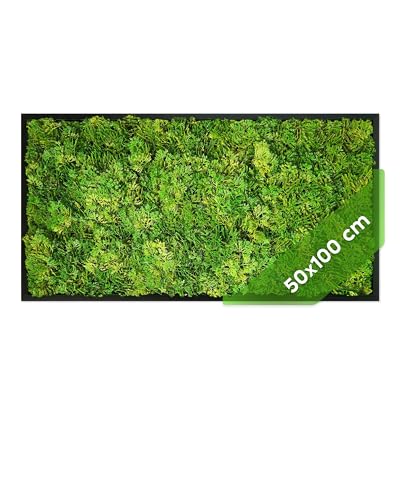 JELLE & JACOB Künstliche Pflanzenwand Moosbild XXL Moos Bild mit Rahmen Kunststoff Schwarz 50x100 cm Moosbilder pflegeleicht & langlebig Mooswand Indoor & Outdoor Pflanzenbild Greenwall