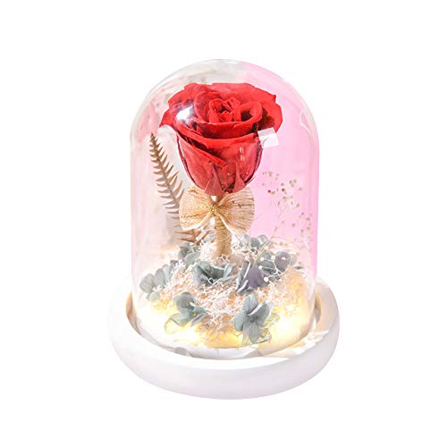 ANNCARY Eternal Red Silk Rose, Beauty and The Beast Rose, Artificial Flower, Handmade Preserved Rose with Glass Dome Gift for Valentines Day Anniversary Wedding Birthday