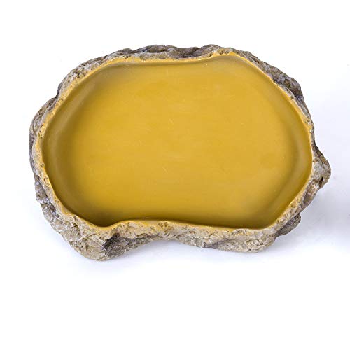 image for REPTIZOO Reptile Food Dish Terrarium Water Bowl Food Feeding Bowl for 