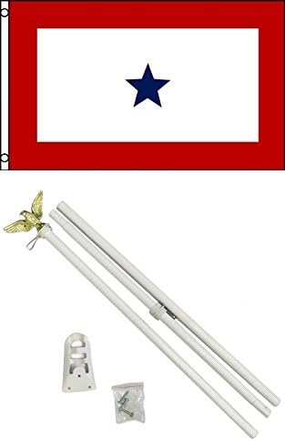 3'x5' US Blue Star Service Polyester Flag and 6' Pole KIT