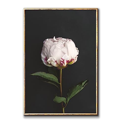 Wallvelart Grande toile de pivoine sur fond noir et blanc - Impression sur toile vintage - Sans cadre - 40,6 x 61 cm