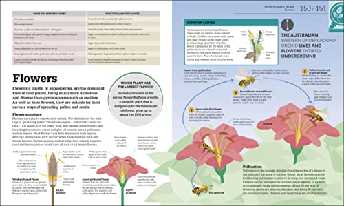 How Biology Works: The Facts Visually Explained