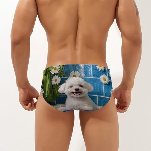 Cute Bichon Frise Bathroom Men's Swim Trunks Briefs Swimsuit Swimwear Bathing for Underwear Beach2