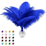 Piokio 10pcs Natural Blue Ostrich Feathers 10-12 inch (25-30cm) Bulk Feathers for Home Decoration and DIY Clothes Decoration, Gatsby Decorations