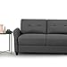 ZINUS Ricardo Loveseat Sofa Tufted Cushions, Easy, Tool-Free Assembly, Dark Grey