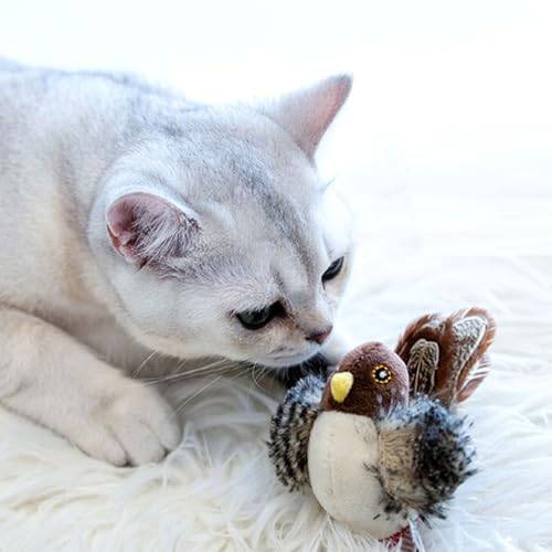 Jouet couineur pour chat avec son et oiseau à mâcher pour exercice - 2