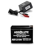 12V 10AH Battery for Solax Mobie Foldable Scooter 41468 S2041 & Charger