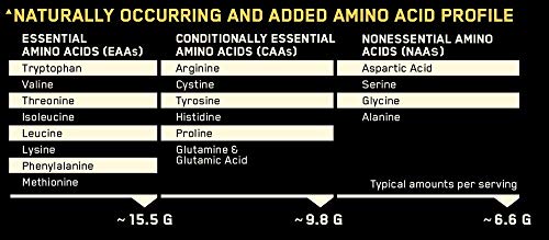 Platinum Hydro Whey 1,5Kg Optimum Nutrition