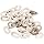 Sea doo Spark 900 Stainless Steel Hull Body Washer Kit 30 Pack 291003880