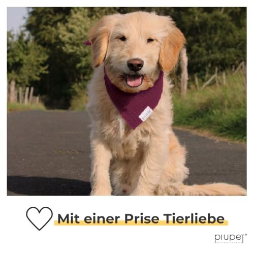PiuPet® Hundehalstuch I 2er Set Hundehalstücher I Hundehalstuch große Hunde I Halstuch Hund I Stylisches Bandana große & kleine Hunde | Hundebekleidung & Zubehör I Beige/Rot | (S) 58x40x40cm