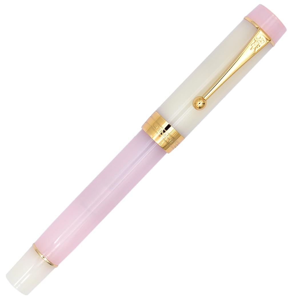 Waterman Hémisphère - Penna stilografica in metallo e rosa con finitura